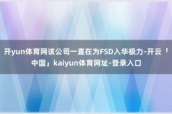 开yun体育网该公司一直在为FSD入华极力-开云「中国」kaiyun体育网址-登录入口