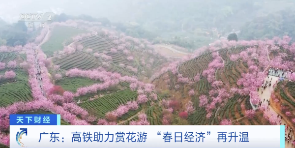 开yun体育网乘坐高铁仅需2小时傍边-开云「中国」kaiyun体育网址-登录入口