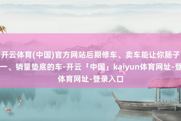 开云体育(中国)官方网站后期修车、卖车能让你肠子悔青！一、销量垫底的车-开云「中国」kaiyun体育网址-登录入口